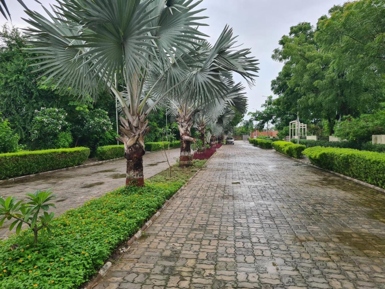 Club Azzurro Resort - Nalsarovar Nānodra Extérieur photo